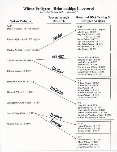 Wilcox Pedigree Relationships uncovered